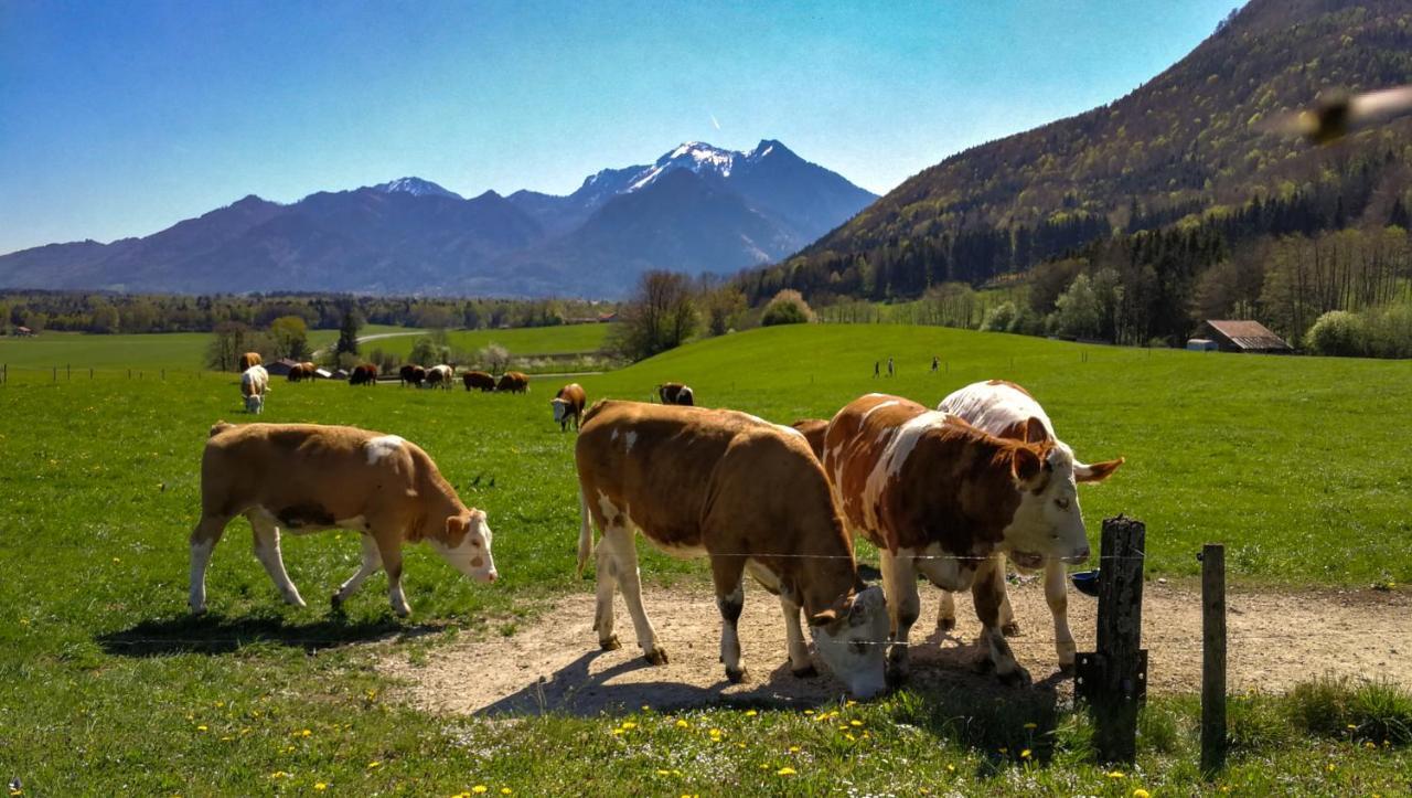 Apartmán Hoderhof Grassau  Exteriér fotografie